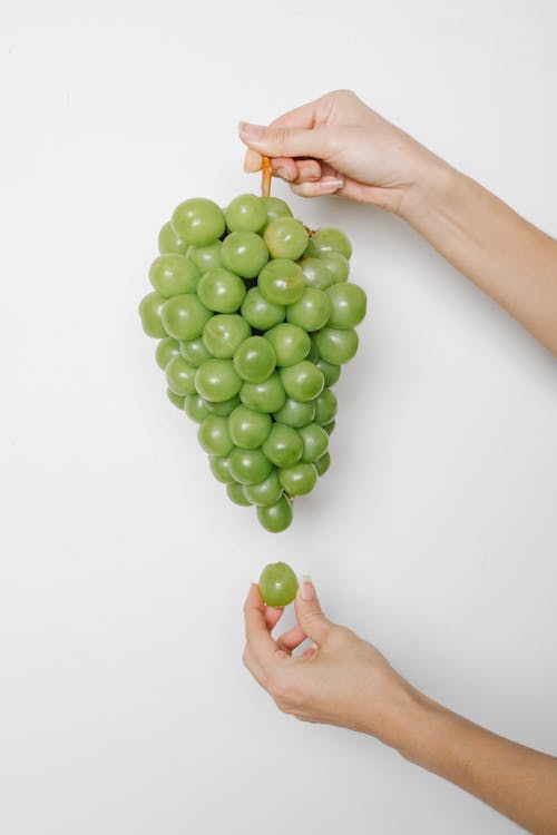 Free Crop anonymous female demonstrating cluster of fresh ripe tasty green grape on white background Stock Photo