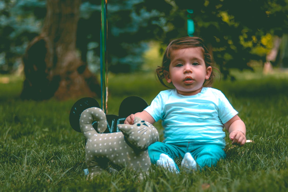 Free Toddler Wearing Teal T-shirt and Teal Pants Beside Gray Cat Plush Toy Stock Photo